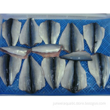 frozen pacific mackerel butterfly fillet